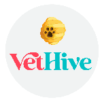 VetHive-Bee-In-Hive